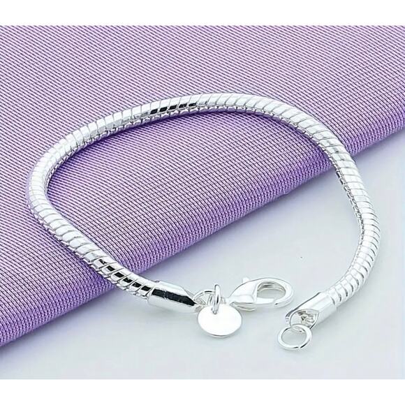 925 Sterling Silver Snake Bone Chain Bracelet and Necklce Set NWT Minimal Modern - Picture 3 of 5